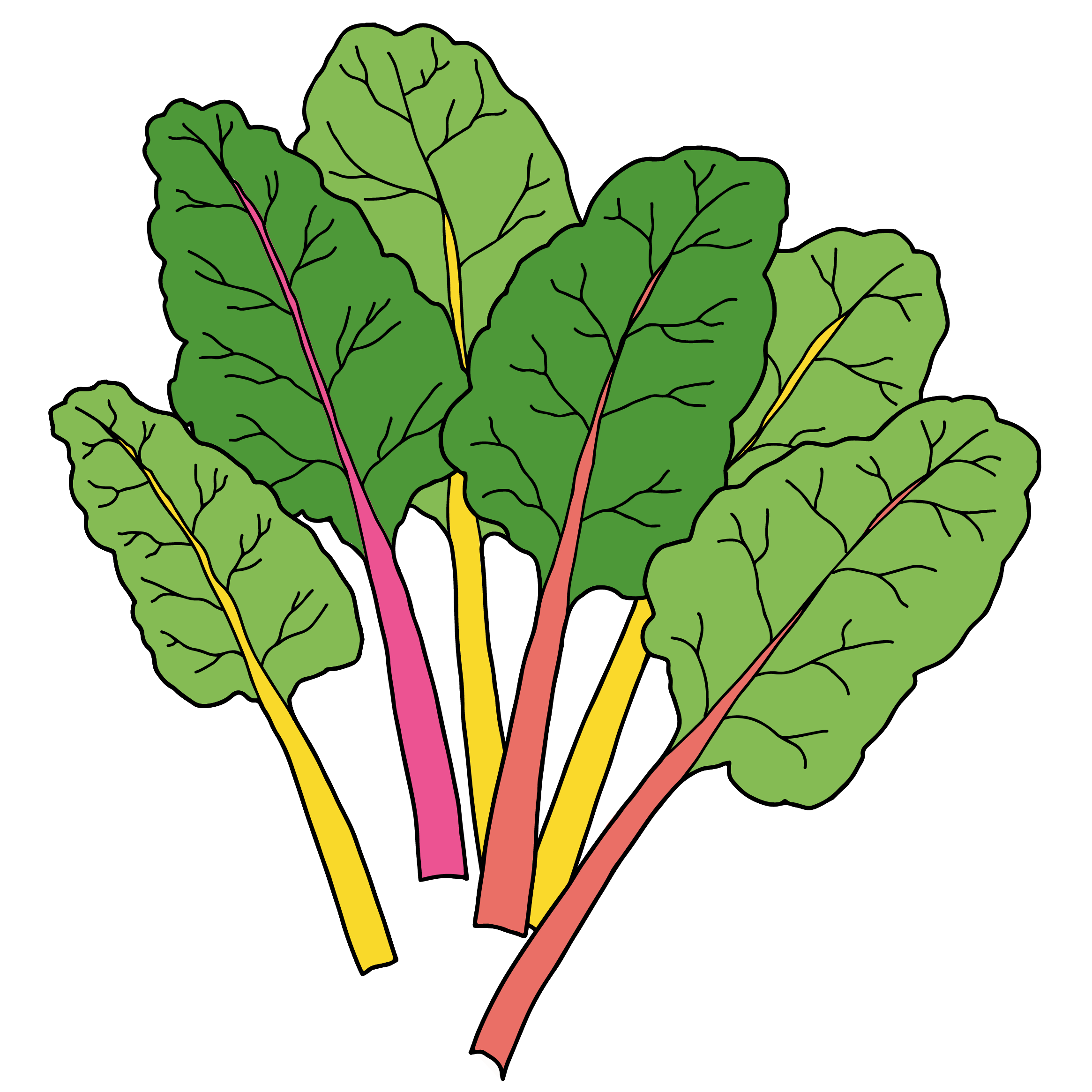 Crop Chard
