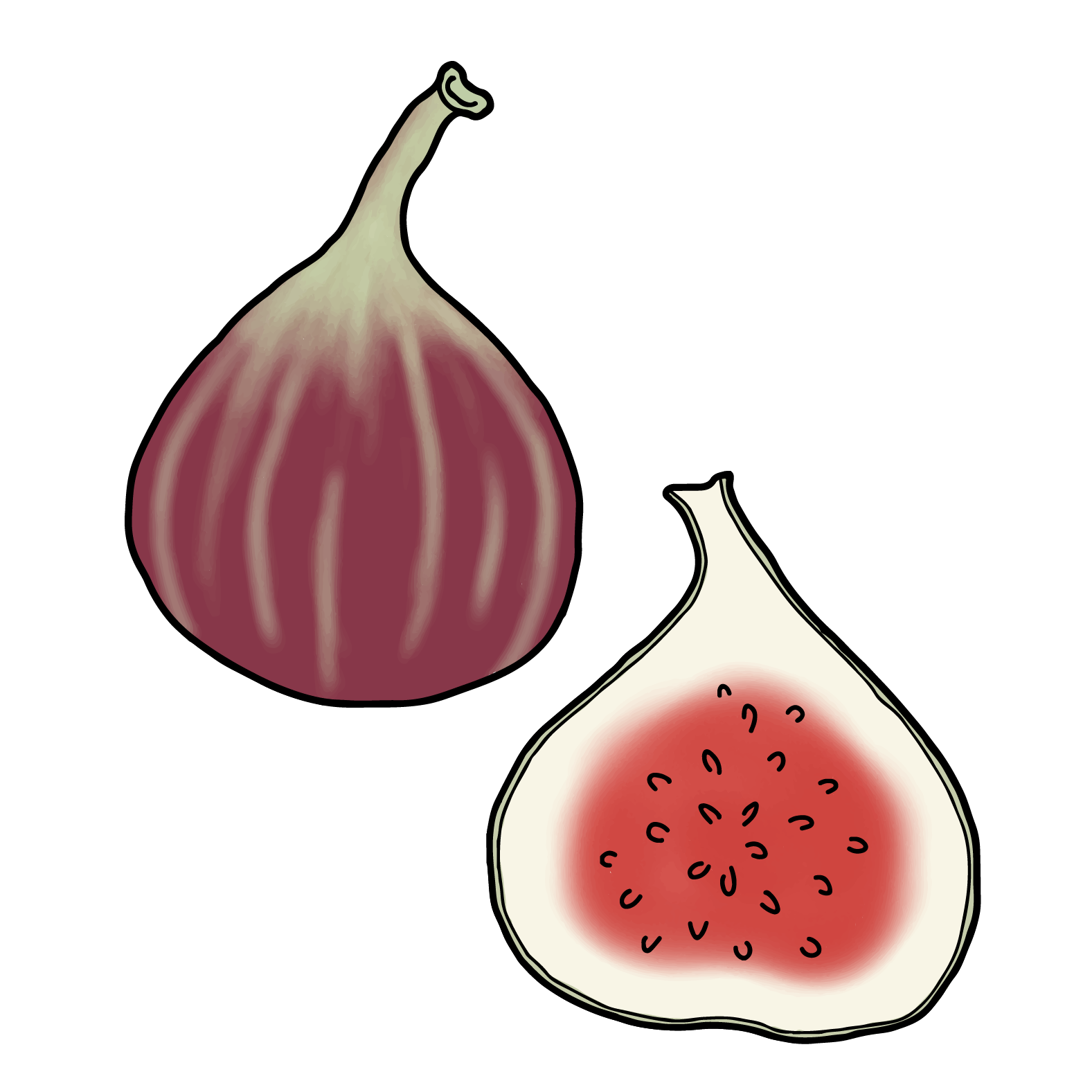 Fig Crop